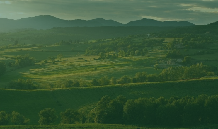 Mugello